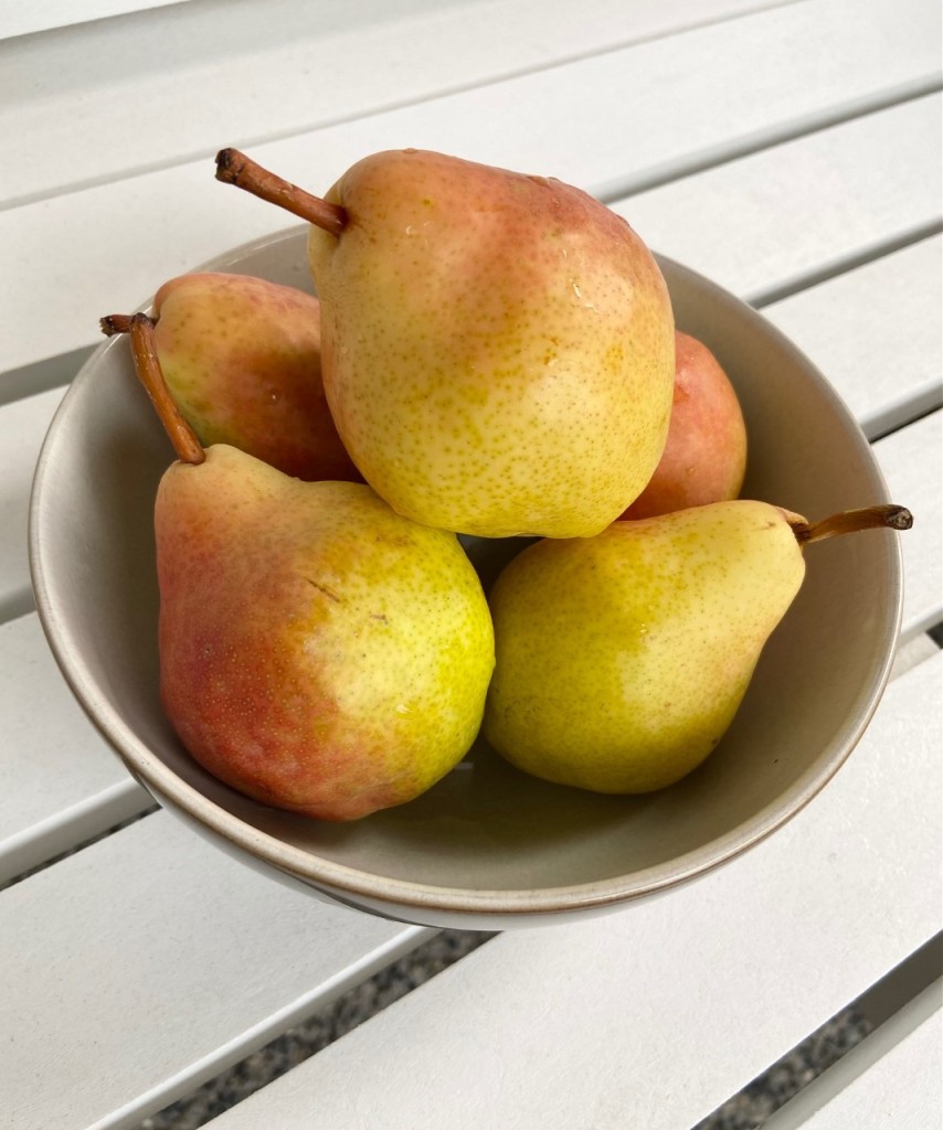 A bowl of ripe rosy organic Washington pears.